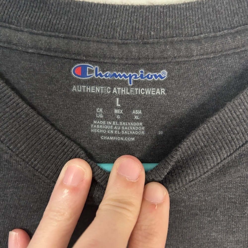 Champion Men's Gray T-Shirt, Size L - Picture 3 of 7